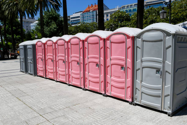 Best Long-Term Portable Toilet Rental  in Hollins, VA